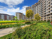 SİNPAŞ LİVA SULTANBEYLİ ŞANTİYESİ